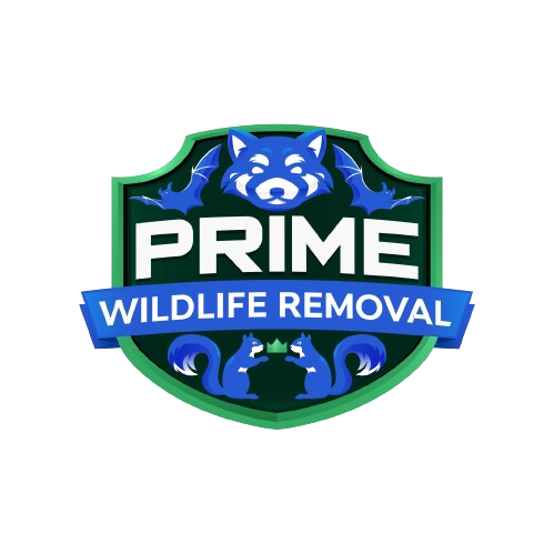 Wildlife Removal Hudsonville